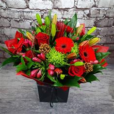 Tis the Season of Love