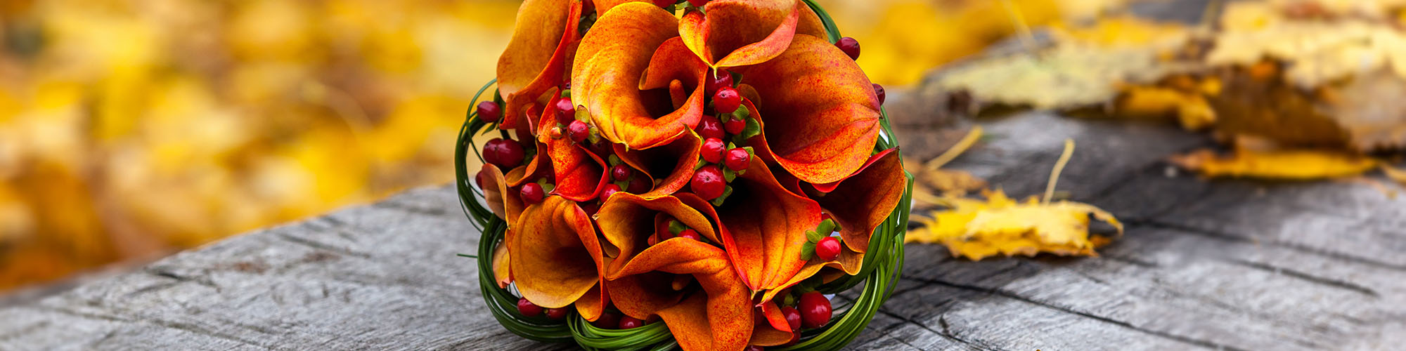 Vivaldi Flowers
